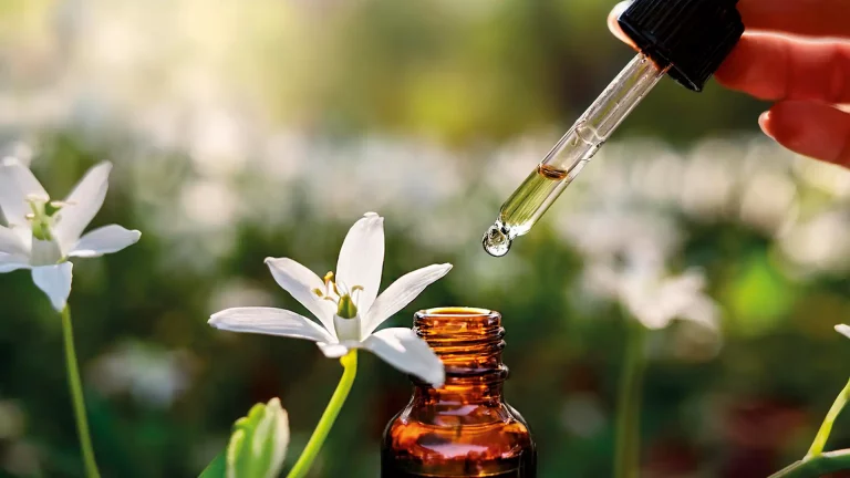 Pipette dosiert Tropfen in Braunglasflasche neben weißer Blüte für Naturheilkunde Fachberatungen und integrales Coaching.